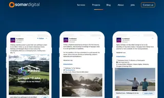 Preview of the Te Mātāwai Case Study