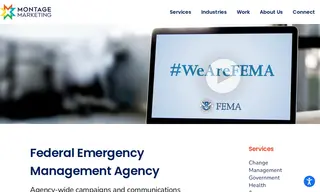 Preview of the Federal Emergency Management Agency (fema) Case Study