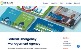 Preview of the Federal Emergency Management Agency Case Study