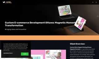 Preview of the Magnetic Moments Case Study