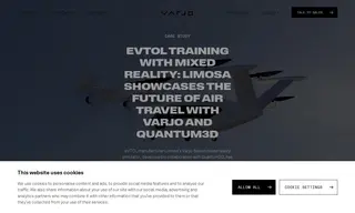Preview of the Limosa Inc Case Study