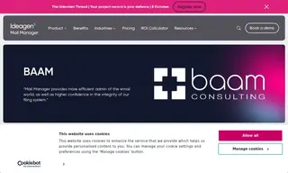 Preview of the BAAM Consulting Case Study