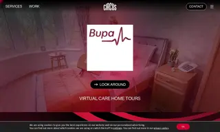 Preview of the Bupa Case Study