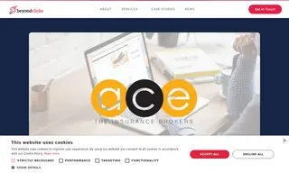 Preview of the ACE Insurance Case Study