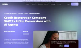 Preview of the Leading Credit Repair Company Case Study