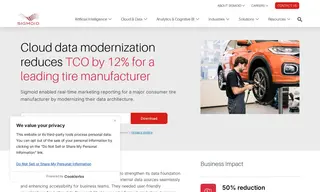 Preview of the Leading Tire Manufacturer Case Study