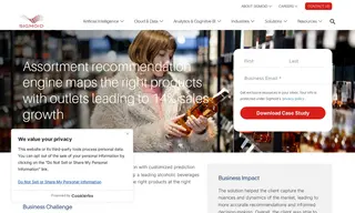 Preview of the Leading Alcoholic Beverages Company Case Study