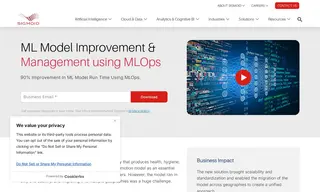 Preview of the Leading Multinational CPG Company Case Study