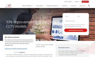 Preview of the Fortune 500 Bank Case Study