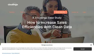Preview of the Lucid Design Group Case Study
