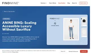 Preview of the Anine Bing Case Study
