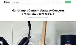 Preview of the MailChimp Case Study