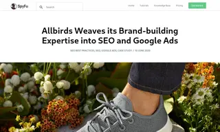 Preview of the Allbirds Case Study