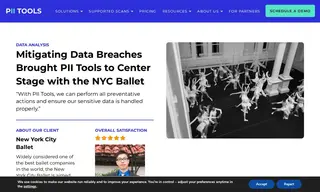 Preview of the New York City Ballet Case Study