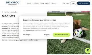 Preview of the Medpets Case Study