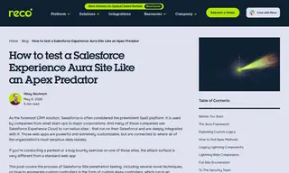 Preview of the Salesforce Case Study