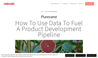 Preview of the Purecane Case Study