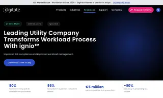 Preview of the Leading Utility Company Case Study