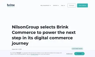 Preview of the NilsonGroup Case Study