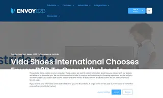 Preview of the Vida Shoes International (Vida Group) Case Study
