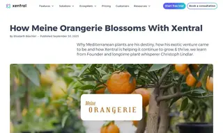 Preview of the Meine Orangerie Case Study