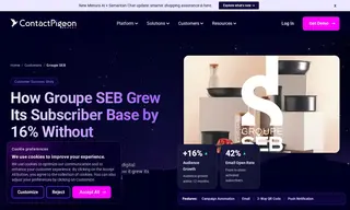 Preview of the Groupe SEB Case Study