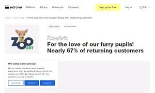 Preview of the ZooArt Case Study