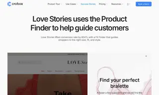 Preview of the Love Stories Case Study