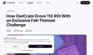 Preview of the OwlCrate Case Study