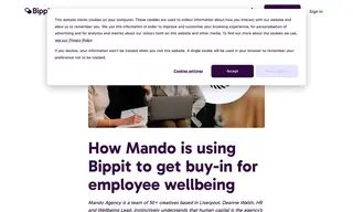 Preview of the Mando Agency Case Study