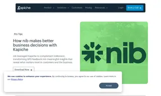 Preview of the nib Case Study
