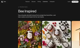 Preview of the Bee Inspired Case Study