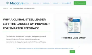Preview of the Global Steel Leader Case Study