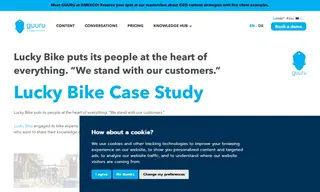 Preview of the Lucky Bike Case Study