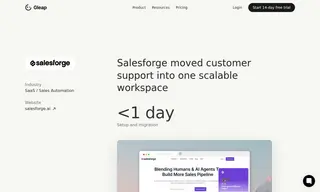 Preview of the Salesforge Case Study