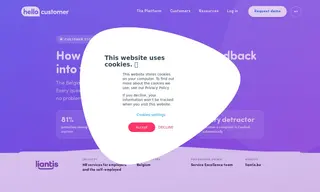 Preview of the Liantis Case Study