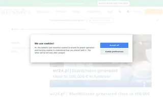 Preview of the Wideorejestratory24.pl Case Study