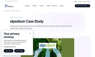 Preview of the Elpedison Case Study