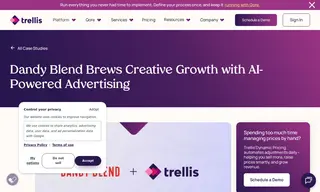 Preview of the Dandy Blend Case Study