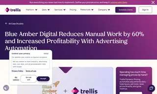 Preview of the Blue Amber Digital Case Study