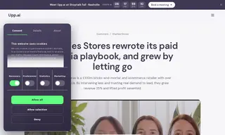 Preview of the Charlies Stores Case Study