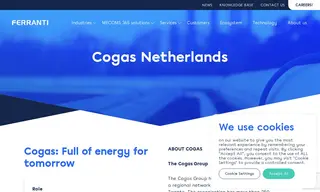 Preview of the Cogas Netherlands Case Study