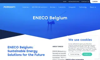 Preview of the Eneco Belgium Case Study