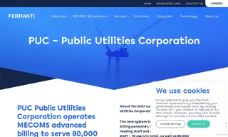 Preview of the Public Utilities Corporation Case Study