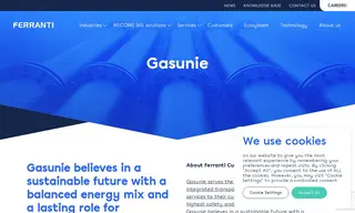 Preview of the Gasunie Case Study