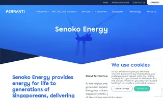 Preview of the Senoko Energy Case Study