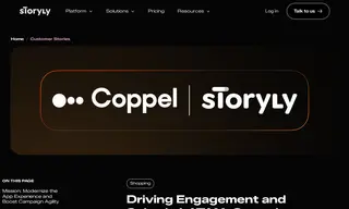Preview of the Coppel Case Study