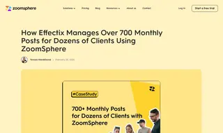 Preview of the Effectix Case Study