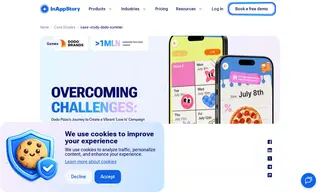 Preview of the Dodo Brands Case Study