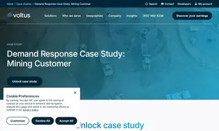 Preview of the Mining Customer Case Study